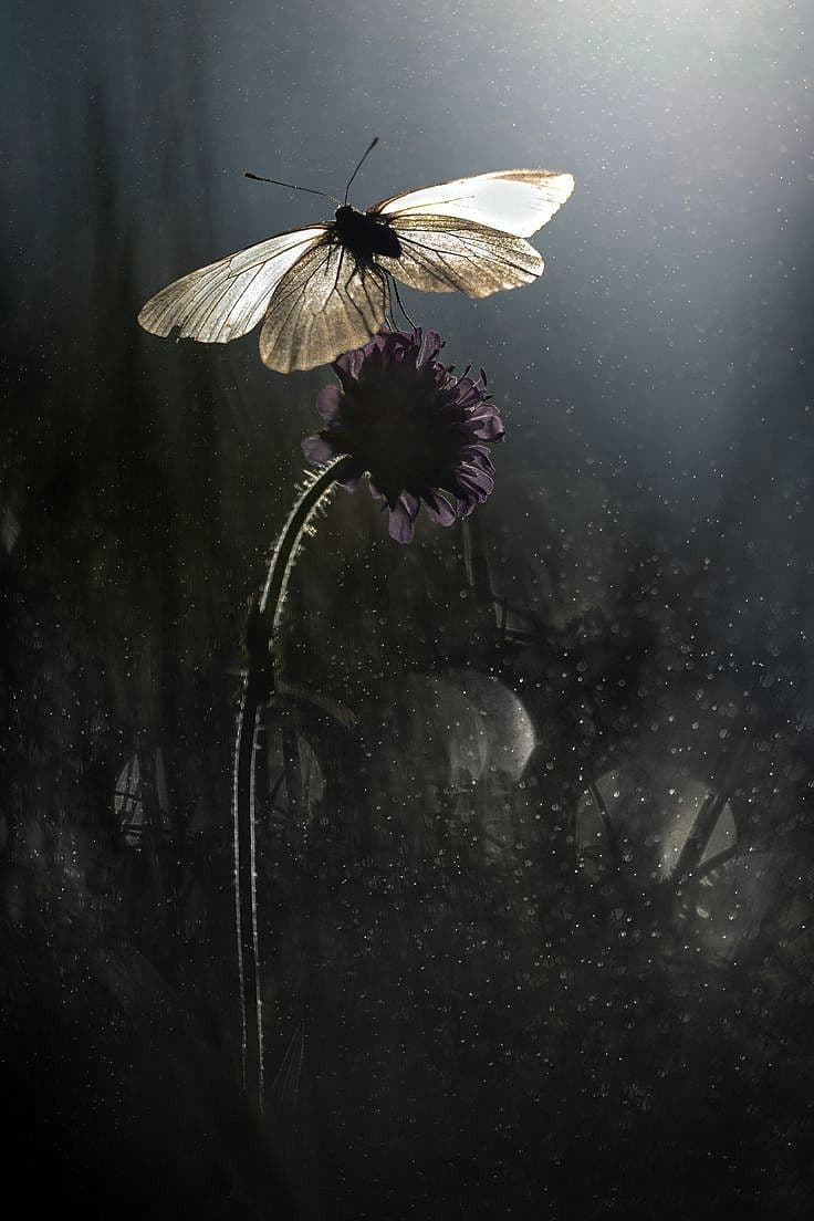 OpenAI điều chỉnh nhân sự cấp cao: COO Brad Lightcap nhận vai trò mới dẫn dắt các dự án đặc biệt