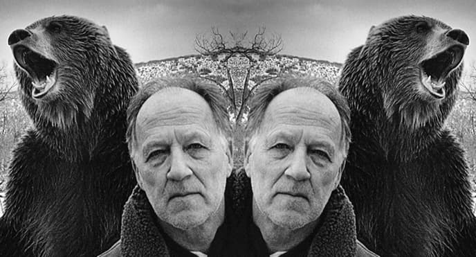 Werner Herzog: 'Viên đạn đó chẳng có ý nghĩa gì' – Câu chuyện về Hollywood, gấu Bắc Cực và sự điên rồ của con người